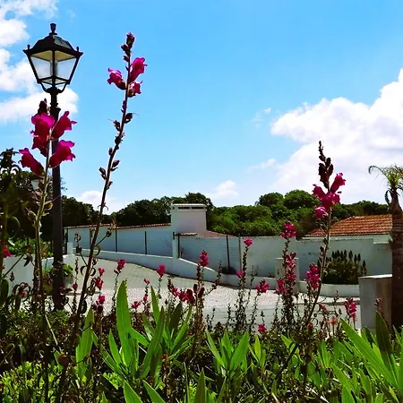 게스트하우스 My Holidays In D'el Rey 4*