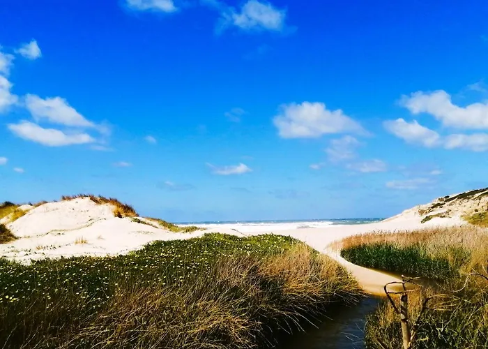 My Holidays In D'el Rey