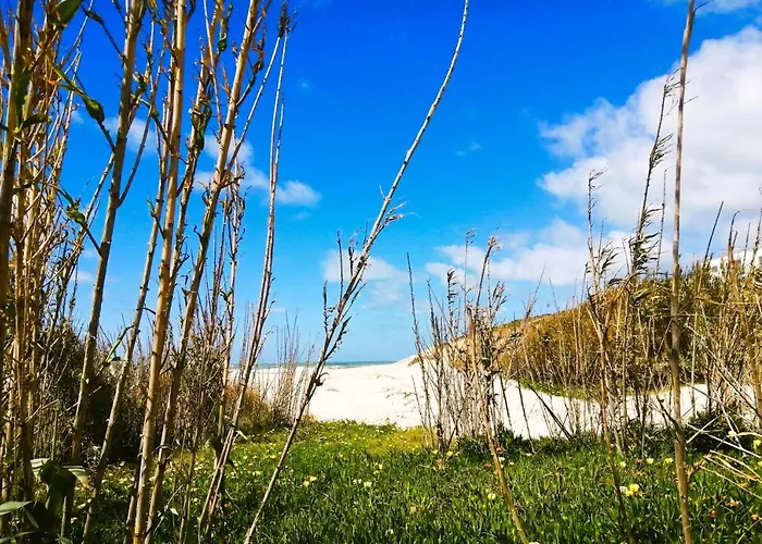 Casa de hóspedes My Holidays In D'el Rey 4*